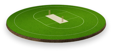 Cricket pitch